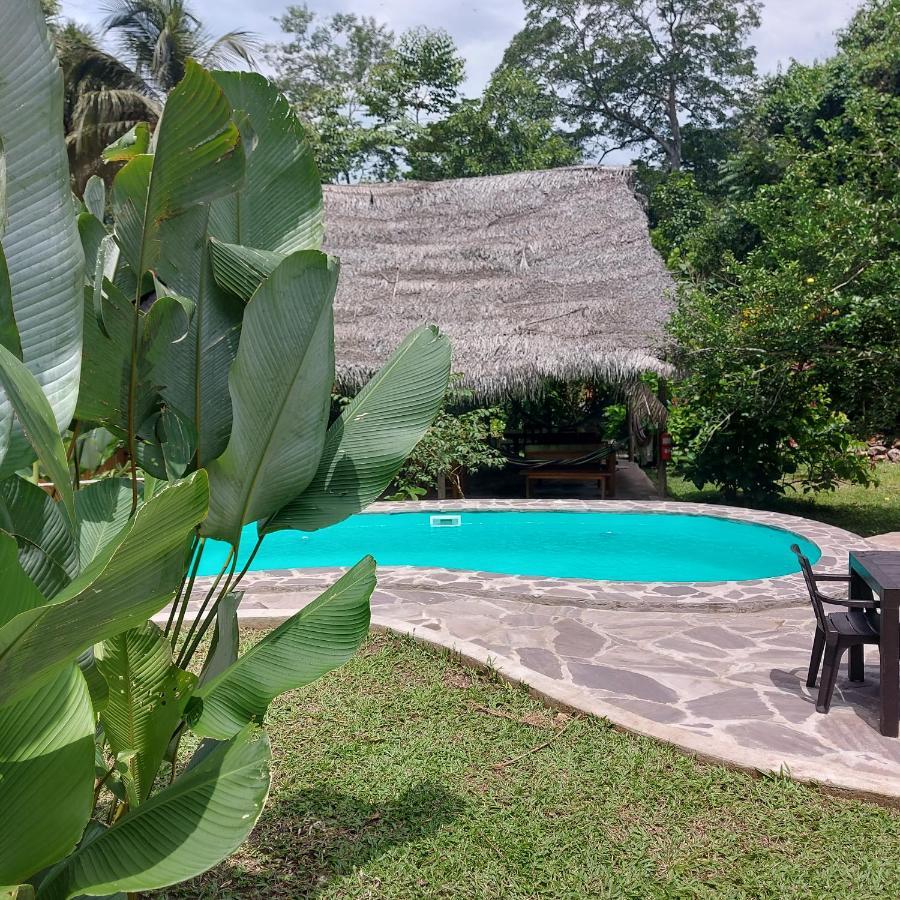 Shimiyacu Amazon Lodge タラポト エクステリア 写真
