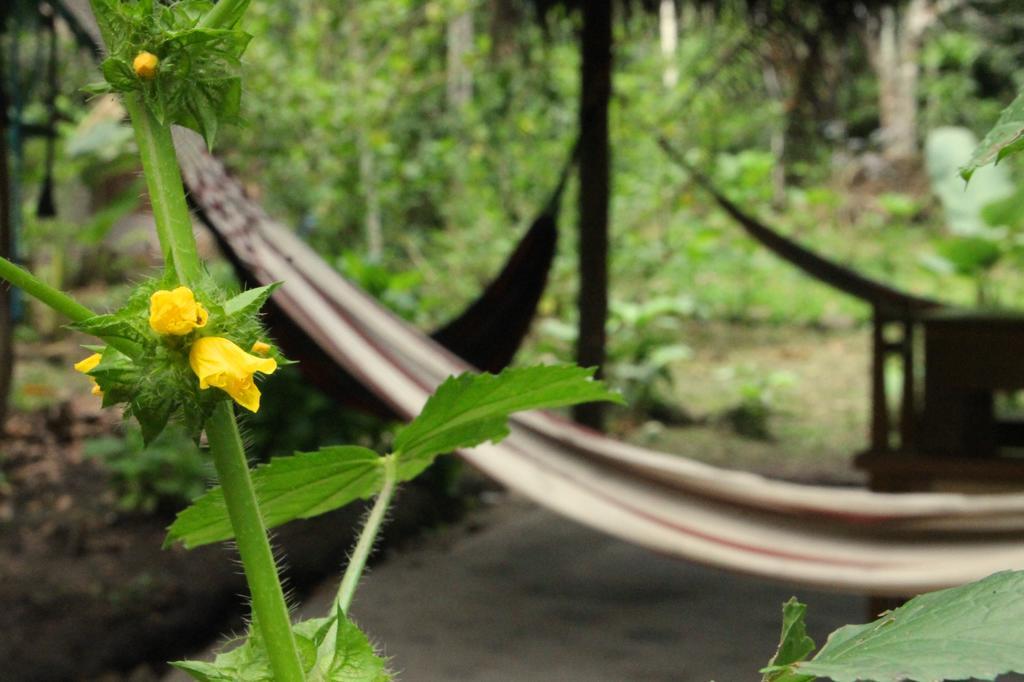 Shimiyacu Amazon Lodge タラポト エクステリア 写真