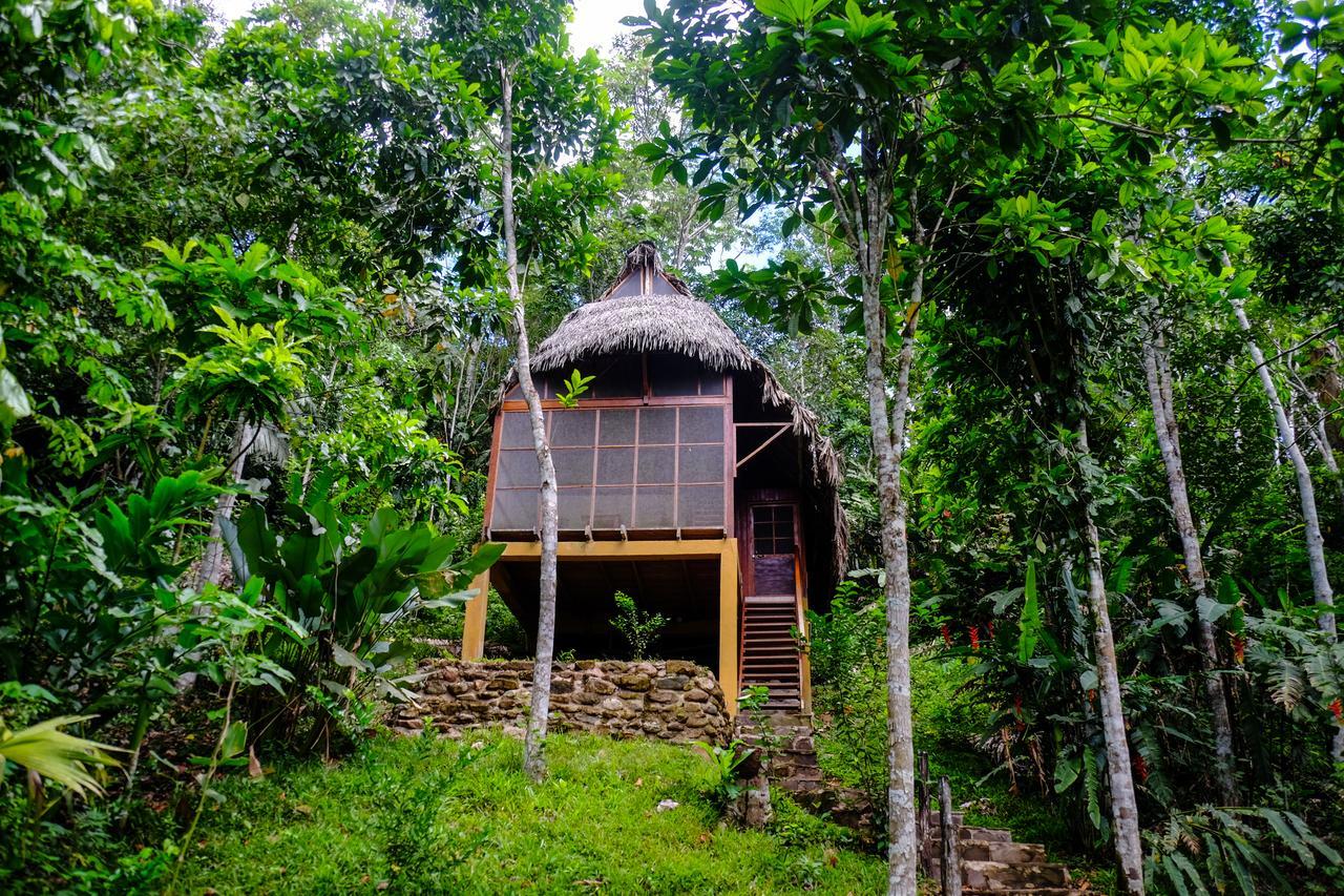 Shimiyacu Amazon Lodge タラポト エクステリア 写真