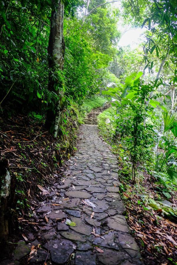 Shimiyacu Amazon Lodge タラポト エクステリア 写真