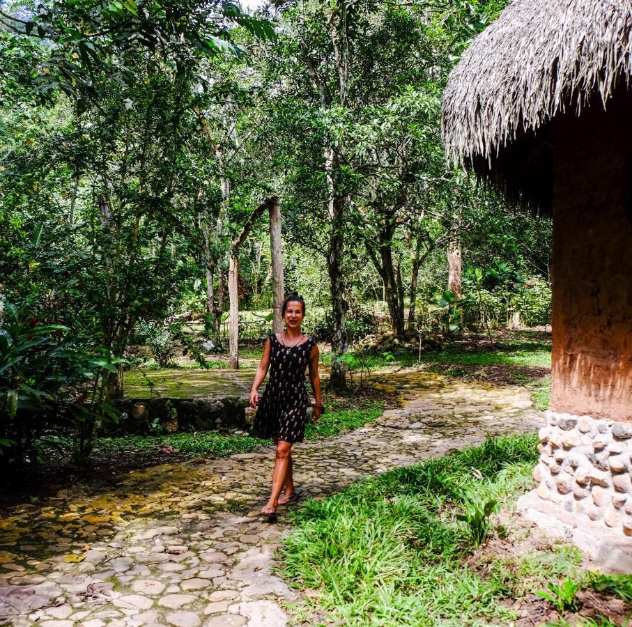 Shimiyacu Amazon Lodge タラポト エクステリア 写真