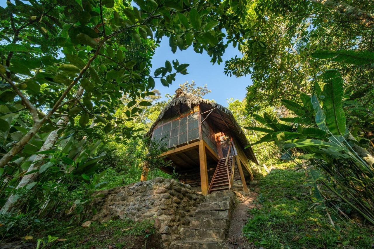 Shimiyacu Amazon Lodge タラポト エクステリア 写真