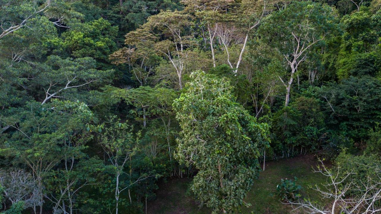 Shimiyacu Amazon Lodge タラポト エクステリア 写真