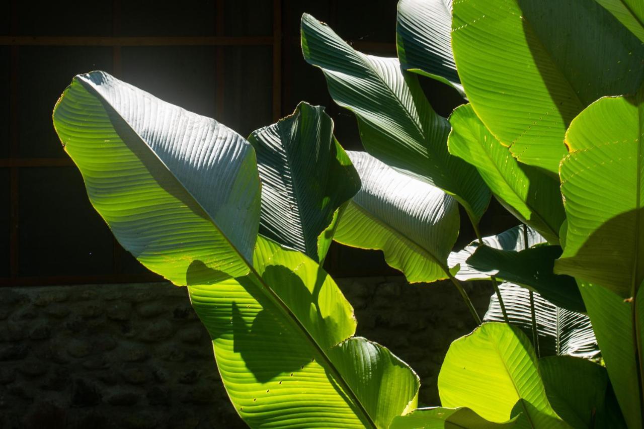 Shimiyacu Amazon Lodge タラポト エクステリア 写真