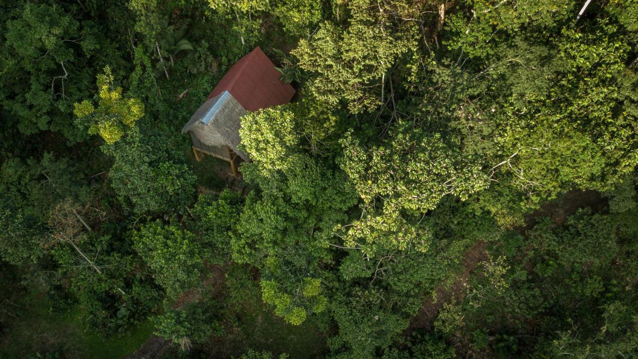 Shimiyacu Amazon Lodge タラポト エクステリア 写真