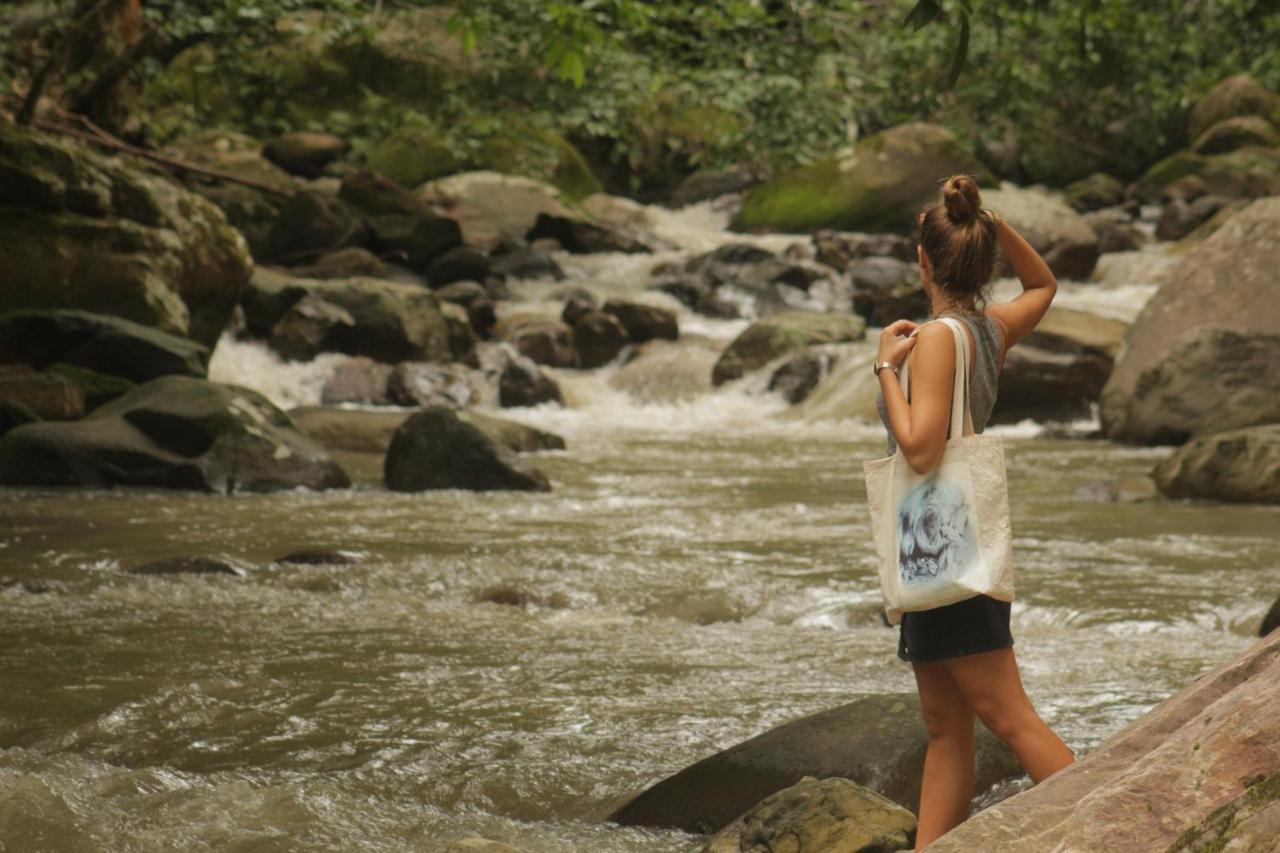 Shimiyacu Amazon Lodge タラポト エクステリア 写真