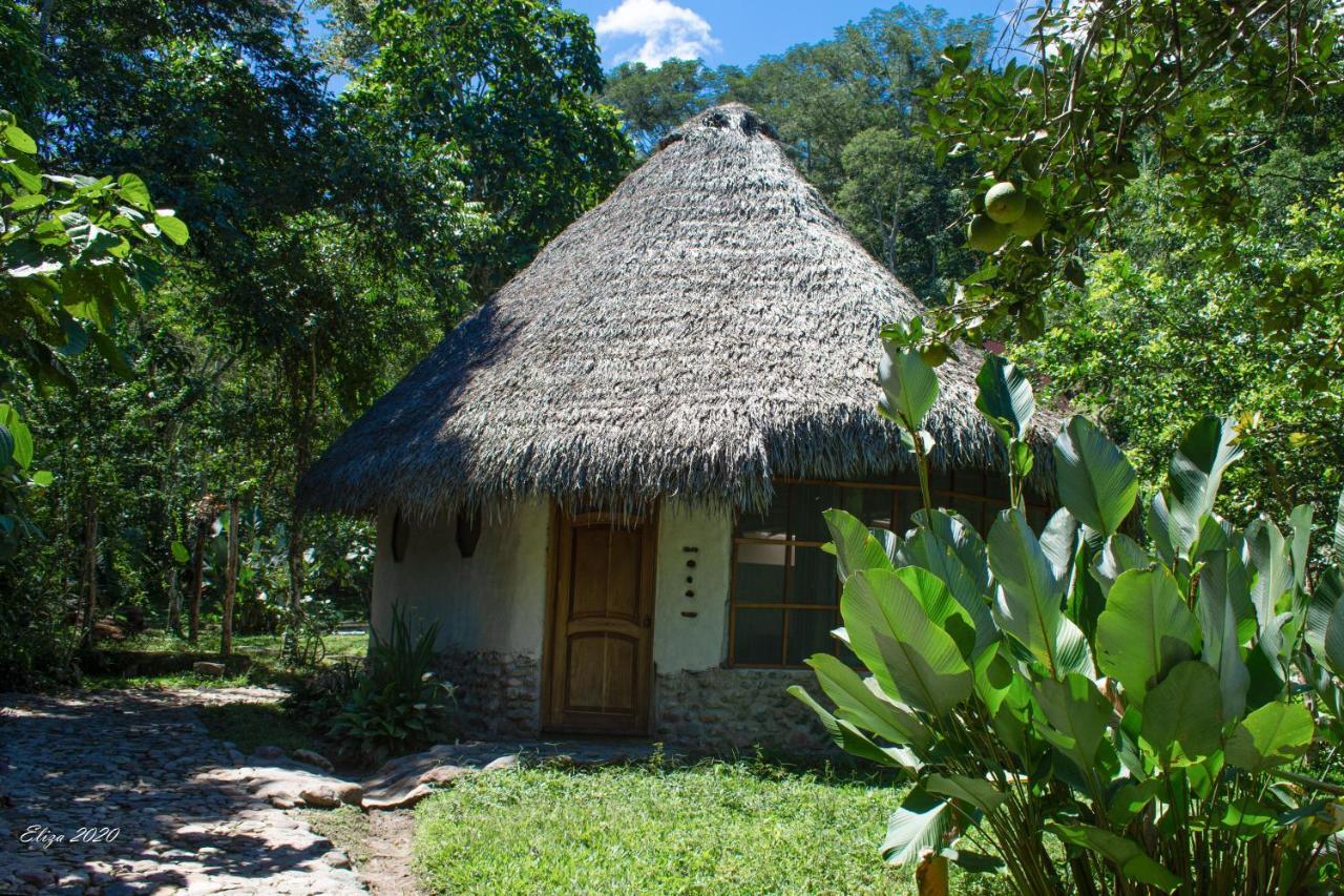 Shimiyacu Amazon Lodge タラポト エクステリア 写真
