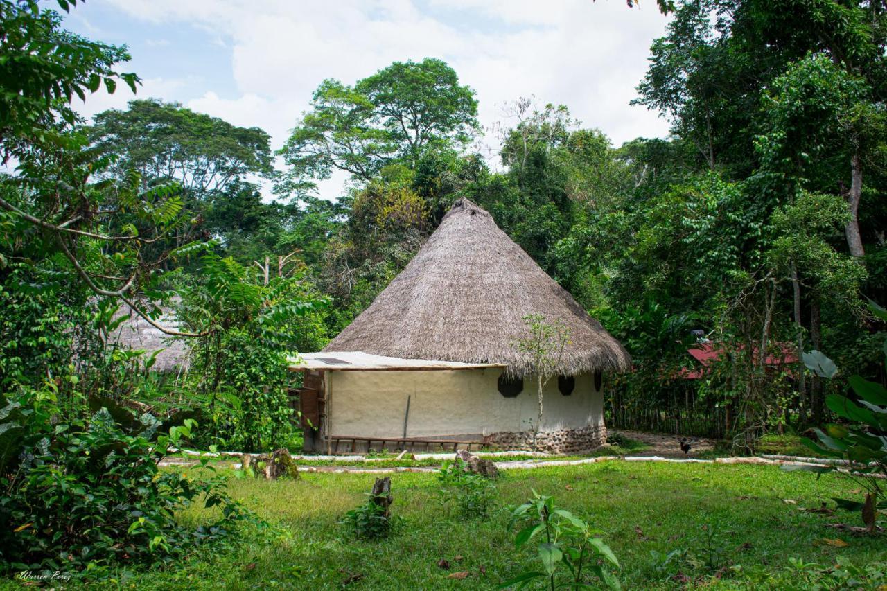 Shimiyacu Amazon Lodge タラポト エクステリア 写真