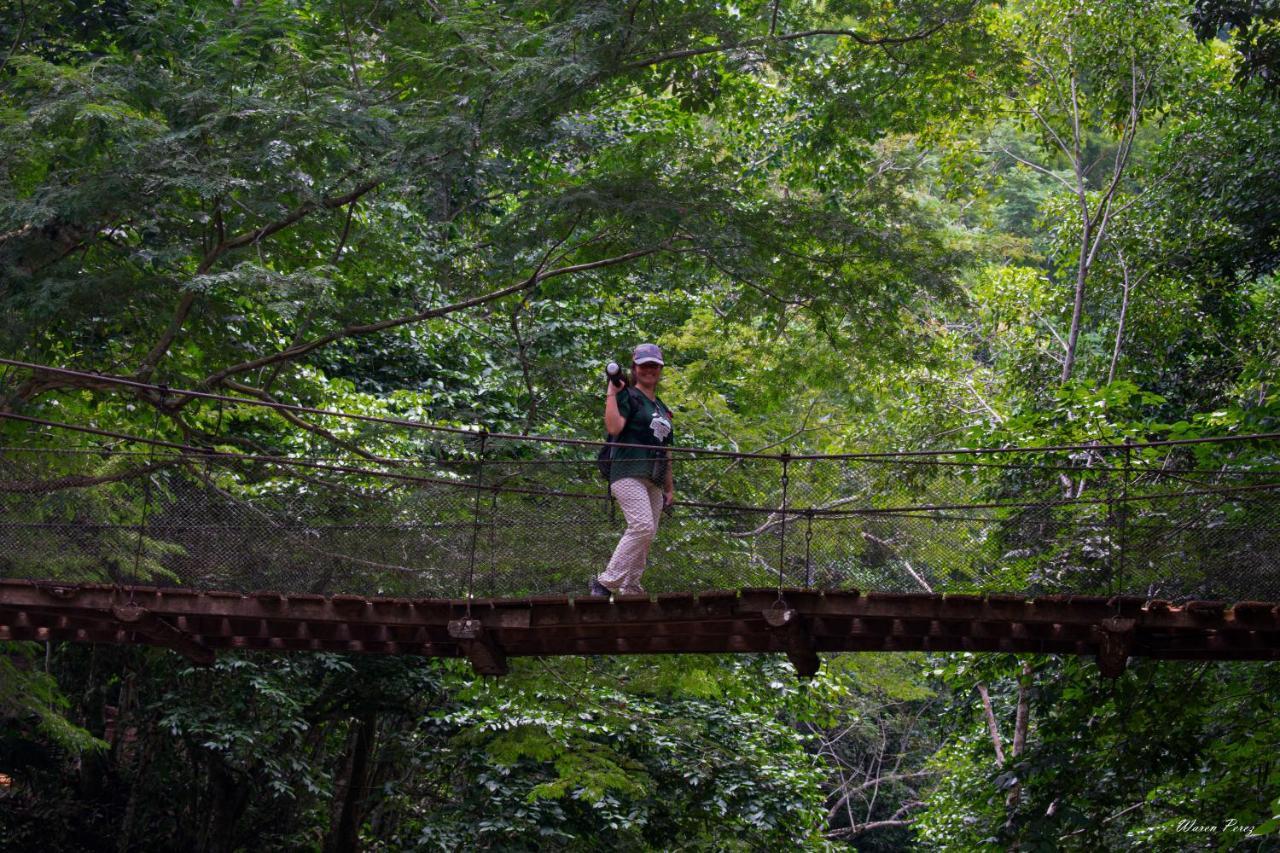 Shimiyacu Amazon Lodge タラポト エクステリア 写真
